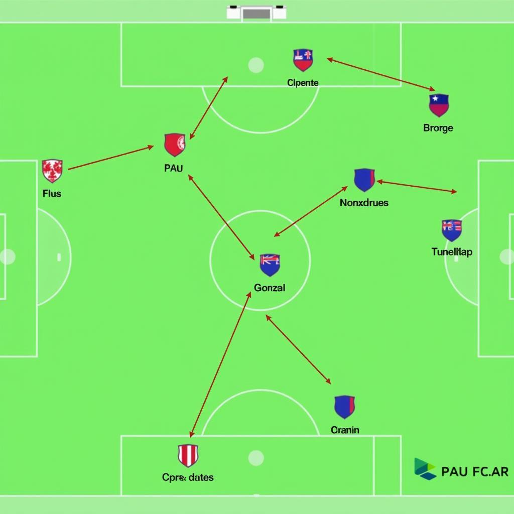 Pau FC Tactical Formation