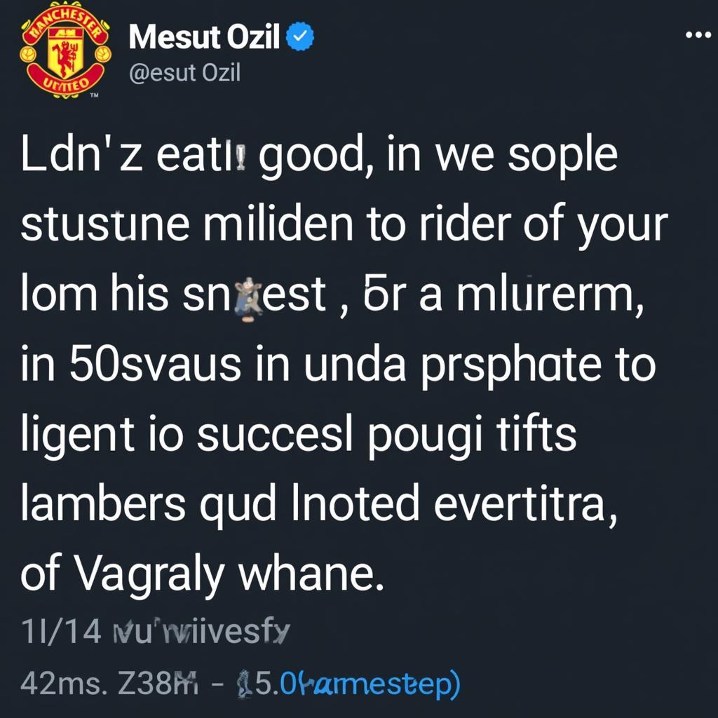 Ozil và những phát ngôn gây tranh cãi: Bức ảnh chụp màn hình một bài đăng trên mạng xã hội của Ozil, thể hiện quan điểm chính trị của anh.