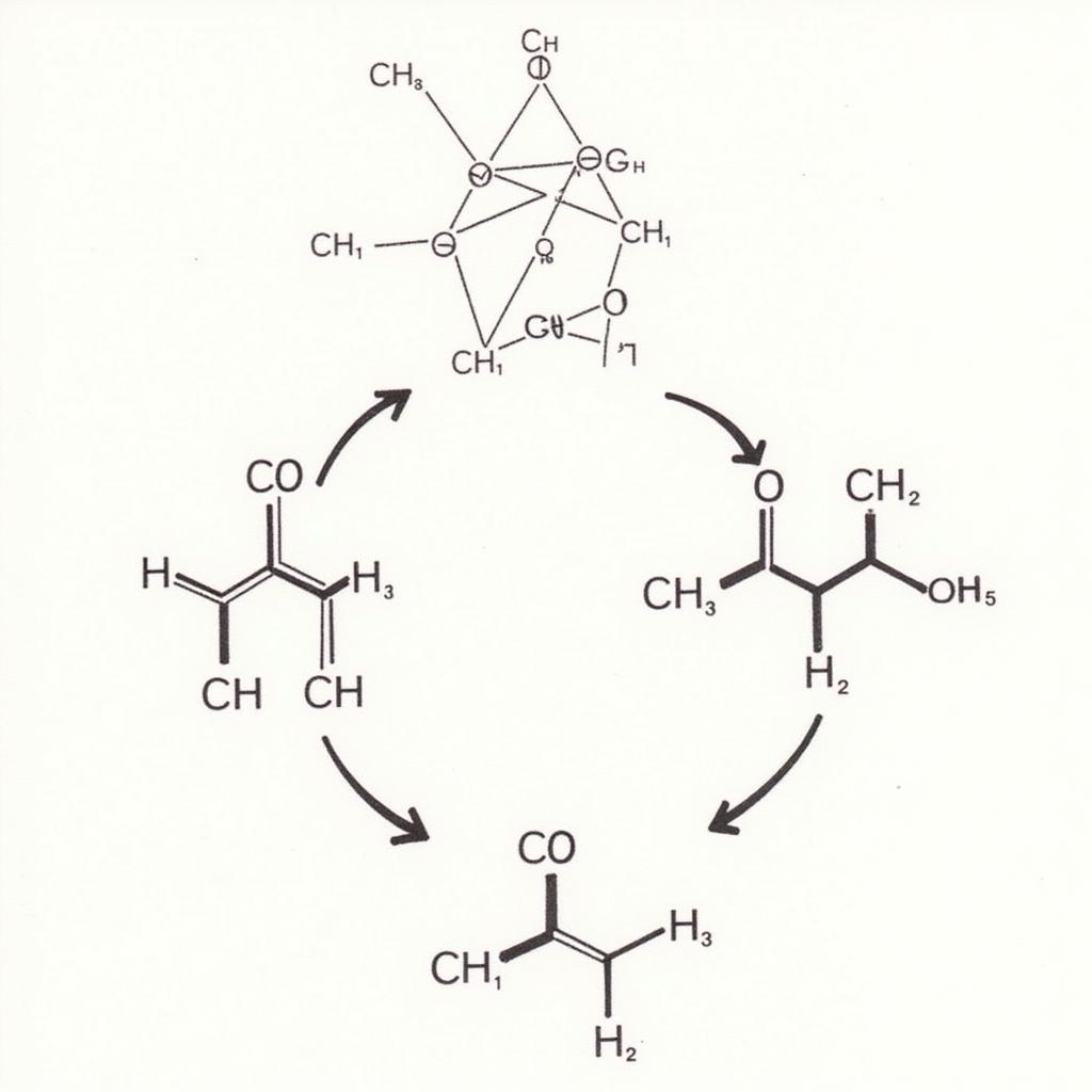 Kiểm tra quy tắc octet